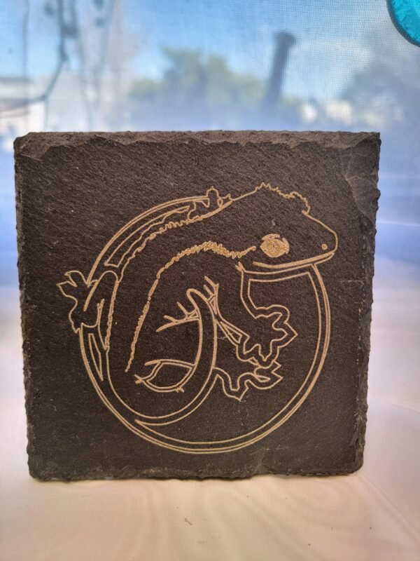 Crested Gecko (Petey) - Image 7