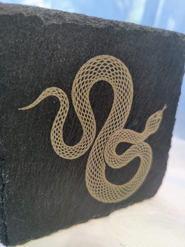 Slithering Snake (burnwork) - Image 6