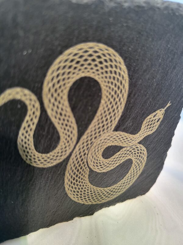 Slithering Snake (burnwork) - Image 7