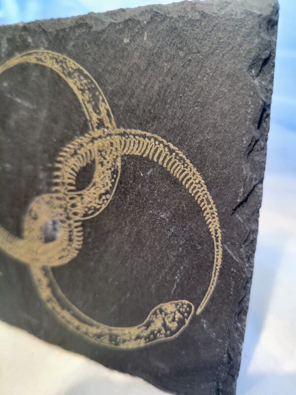 Snake & Skeleton Infinity Loop (burnwork) - Image 8