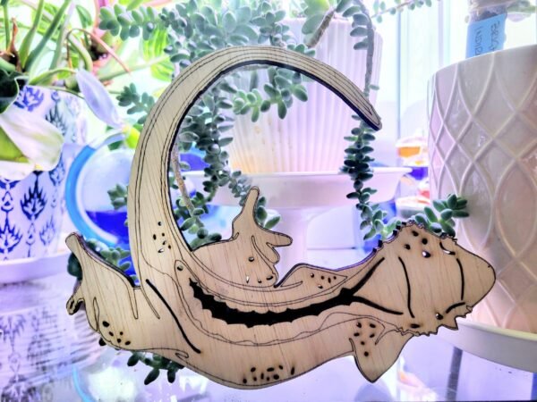 Crested Gecko Lounging (Stu)
