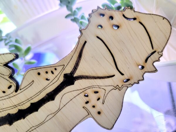 Crested Gecko Lounging (Stu) - Image 2