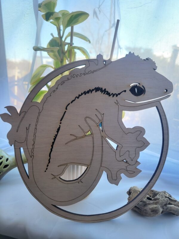 Crested Gecko (Petey)