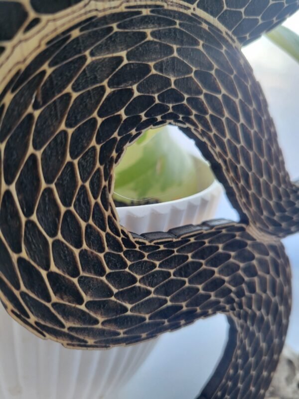 Slithering Snake (burnwork) - Image 3