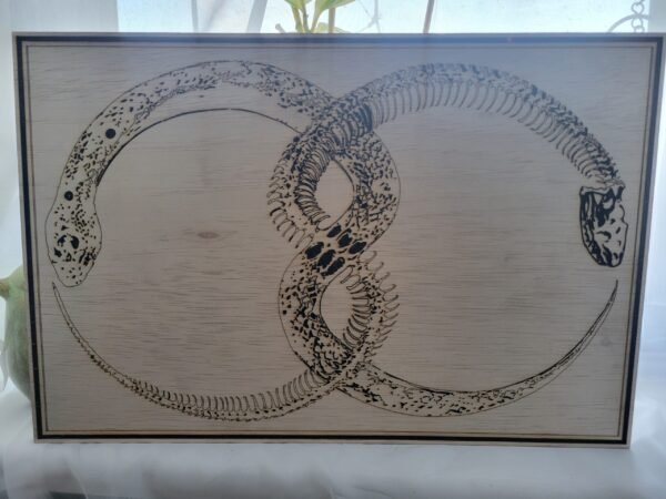 Snake & Skeleton Infinity Loop (linework)
