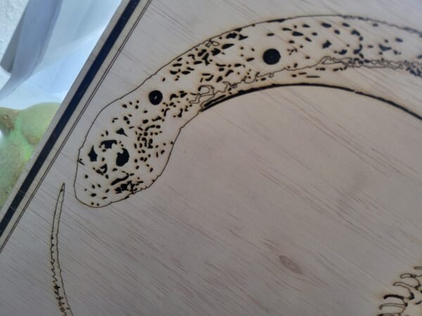 Snake & Skeleton Infinity Loop (linework) - Image 4