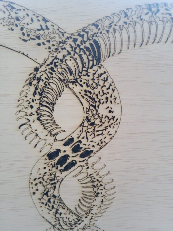 Snake & Skeleton Infinity Loop (linework) - Image 3