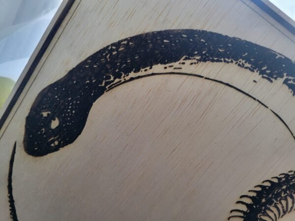 Snake & Skeleton Infinity Loop (burnwork) - Image 2