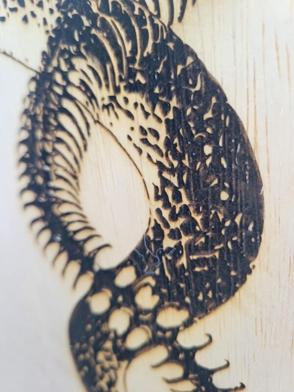 Snake & Skeleton Infinity Loop (burnwork) - Image 5