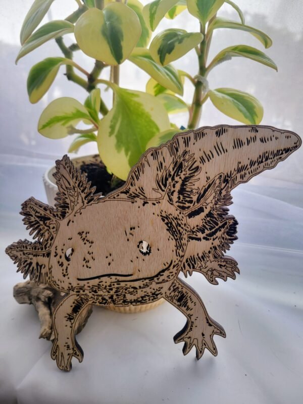 Axolotl (Randall)