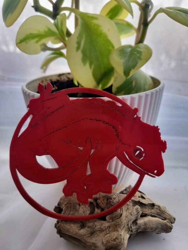 Crested Gecko (Petey) - Image 4