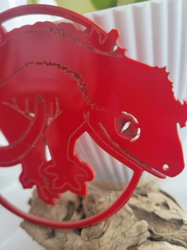 Crested Gecko (Petey) - Image 6