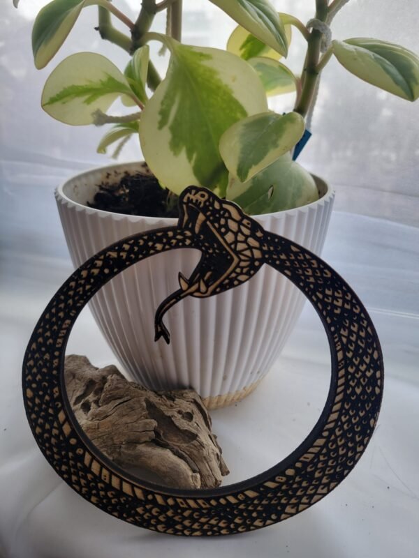 Ouroboros (burnwork)