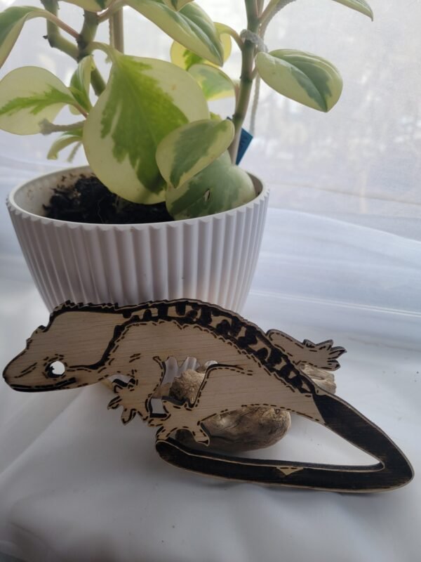 Crested Gecko (Bucky)