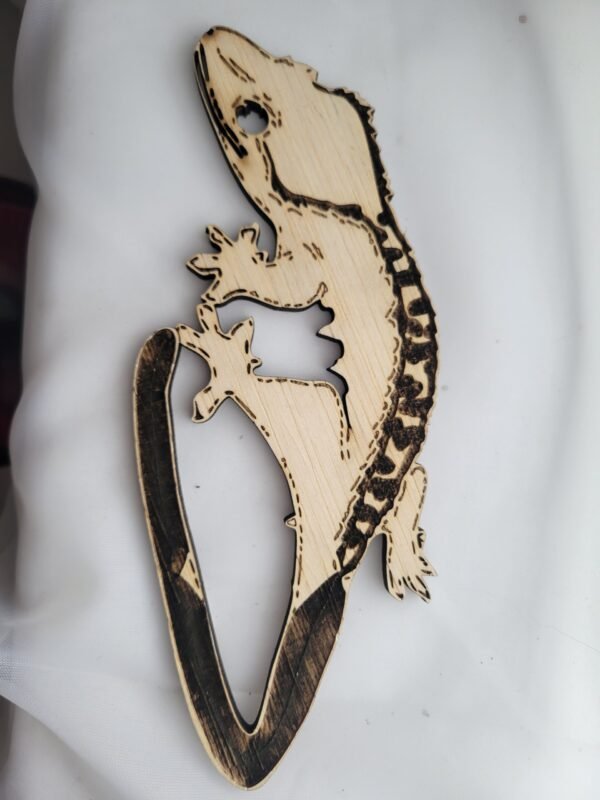 Crested Gecko (Bucky) - Image 3
