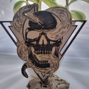 Snake in Skull