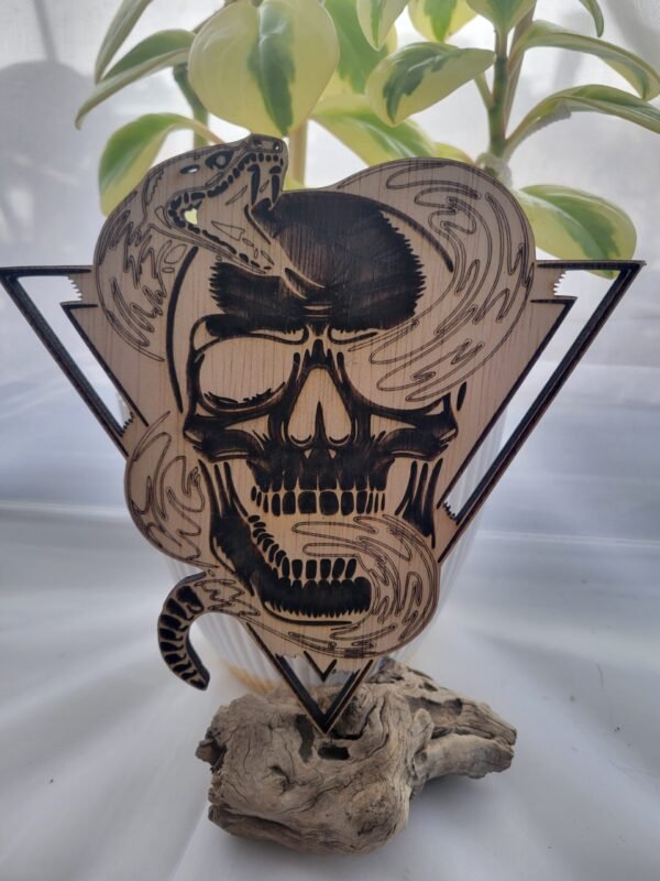 Snake in Skull