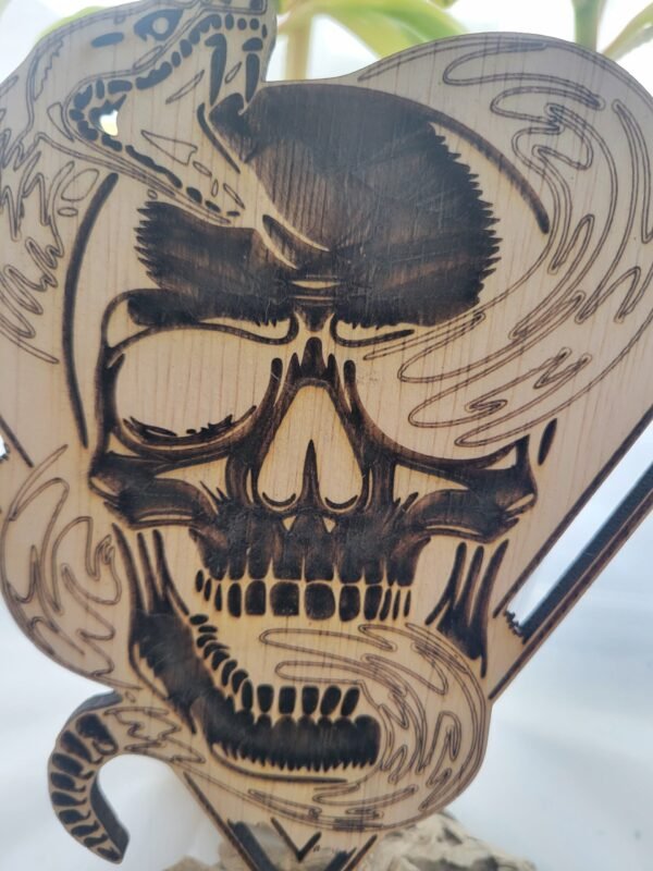 Snake in Skull - Image 2