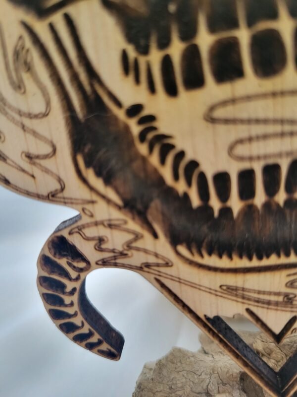 Snake in Skull - Image 4