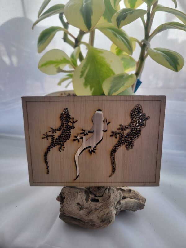Gecko Trio