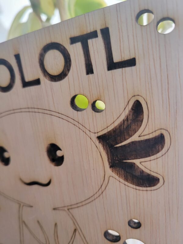 I Axolotl Questions - Image 2
