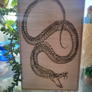 Snake Skeleton