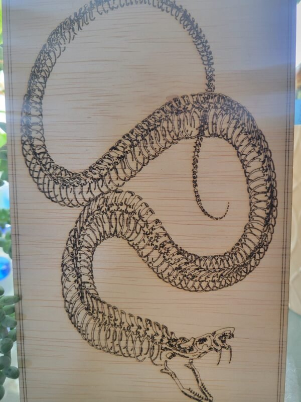 Snake Skeleton - Image 2