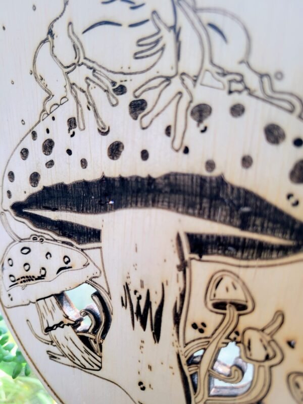 Frog on a Mushroom - Image 5