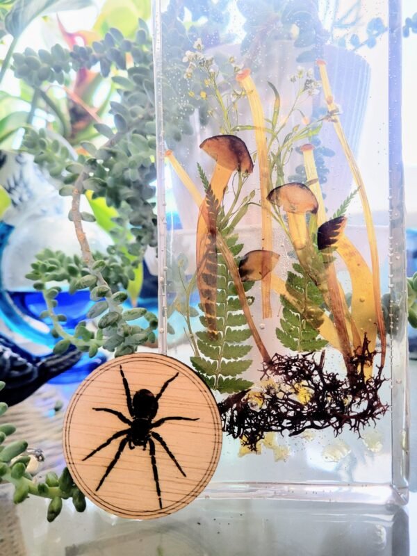 Tarantula (Vern)