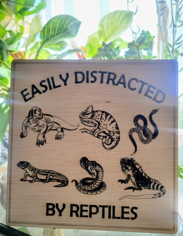 Easily Distracted by Reptiles