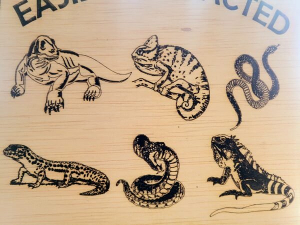 Easily Distracted by Reptiles - Image 2