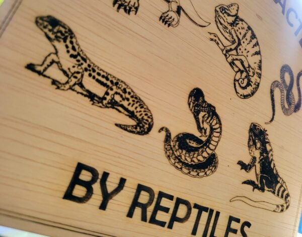 Easily Distracted by Reptiles - Image 3
